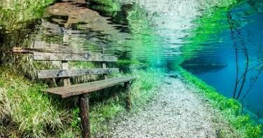 Каждую весну этот австрийский парк погружается под воду. Невероятная красота!