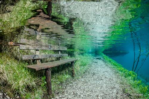 Каждую весну этот австрийский парк погружается под воду. Невероятная красота!