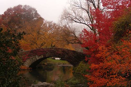 Когда осень сменяет лето... В этих 10-ти восхитительных фото - вся краса осенних перевоплощений!