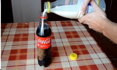 Любишь «Кока-Колу»? После увиденного ты вряд ли когда-либо захочешь ее пить.