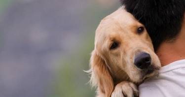 Ученые доказали, а ты до сих пор не знаешь: ты любишь своего пса так же сильно, как и ребенка.