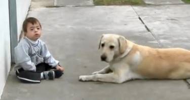 Желтый лабрадор и мальчик с синдромом Дауна. Реакция пса поразила меня до глубины души.