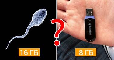 11 неожиданных фактов о сперме.