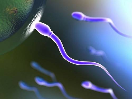 11 неожиданных фактов о сперме.