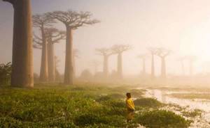 20 самых шедевральных снимков, когда-либо сделанных для National Geographic.