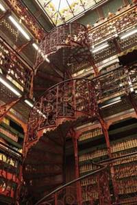 20 самых великолепных библиотек мира. Даже если ты не любишь книги, ты будешь восхищен!