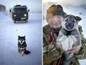 20 ярких фотографий из самого холодного населенного пункта на планете. Бр-р, даже смотреть холодно!