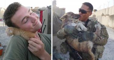 24 трогательных фото солдат и животных во время войны. Вернее друзей не сыскать!