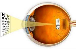 30 удивительных фактов о глазах, после прочтения которых ты точно начнешь ценить свое зрение!