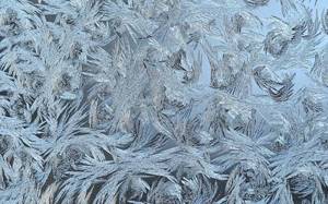 55 «ледяных» фото, которые доказывают, что природа — лучший художник!