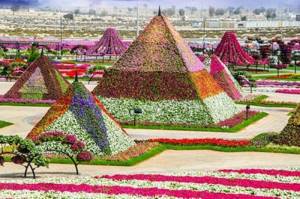 Да это 8-е чудо света! Уникальный сад в Дубае поразит даже самых придирчивых садоводов.