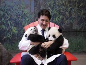 Джастин Трюдо поставил на уши заседание канадского парламента. Вот что скрывает политик под строгим костюмом!