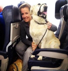 Эта авиакомпания разрешила своим пассажирам перевозить животных. Причина — удивительна...