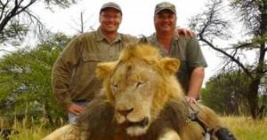 Этот человек заплатил 55 тысяч долларов, чтобы убить льва... Теперь его ждёт 10 лет тюрьмы.