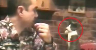 Этот мужчина глухой. Невероятно, как его кот общается с хозяином!