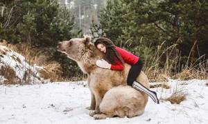 Фотосессия австрийской гимнастки с бурым медведем стала яблоком раздора в Интернете.