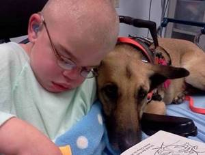 Мальчик неизлечимо болен, а собака обречена на смерть. Но вместе они сумели спасти жизнь друг другу.