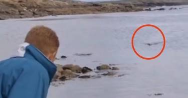 Мальчик заметил в гавани мертвого дельфина... Это событие стало началом невероятной истории.