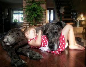 Маленький ребенок и большая собака - отлична команда! Эти 28 снимков убедят тебя в этом.