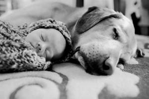 Маленький ребенок и большая собака - отлична команда! Эти 28 снимков убедят тебя в этом.