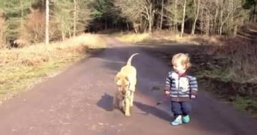 Малыш выгуливает свою собаку... Как вдруг на его пути встречается лужа!