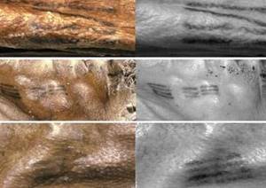 На теле знаменитой 5300-летней мумии Эци насчитали 61 татуировку, которые хранят один секрет...