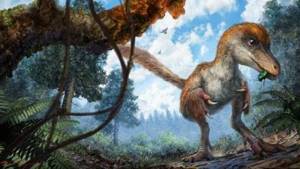 Невероятное открытие: ученые нашли хвост динозавра в куске янтаря.