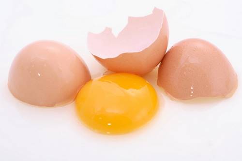 Откуда берутся жемчуг, куриные яйца и еще 7 удивительных ответов на вопрос «Как это появилось?».