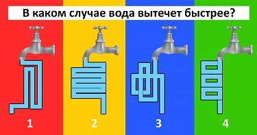 Ответь на этот вопрос и узнай свой уровень интеллекта.