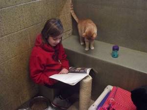 Приют для животных привлекает детей читать для бездомных кошек. Отличная идея!