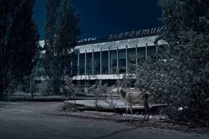 Шокирующие снимки окрестностей Припяти и Чернобыля, сделанные польским фотографом.