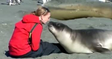Ты ни за что не догадаешься, что этот тюлень делал с девушкой. Удивительная встреча!