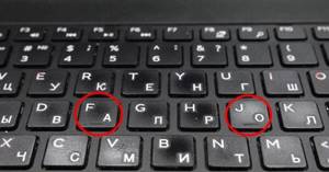 Ты тоже задумывался, зачем на клавишах нужны эти бугорки? Пришло время узнать правду!
