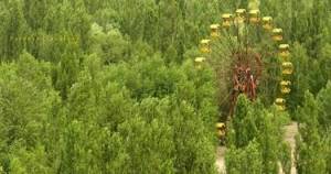 Удивительная мощь природы Чернобыля. Вот что будет на планете ПОСЛЕ человека...