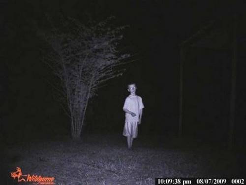 Вот что удалось запечатлеть фотоловушками в лесу ночью. Этим кадрам до сих пор нет объяснения...