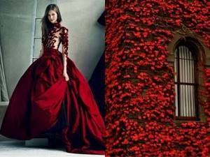 Вот это я понимаю - мода! 22 изумительных платья, которые создавала сама природа.