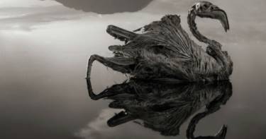 Вот как выглядит ад на Земле. Жуткое озеро Натрон, живым после которого не останется никто!