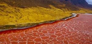 Вот как выглядит ад на Земле. Жуткое озеро Натрон, живым после которого не останется никто!
