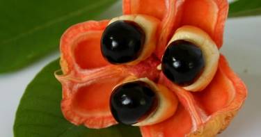 15 экзотических фруктов, которые не встретишь на прилавках наших супермаркетов.