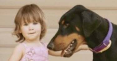 2-летняя девочка играла с доберманом. Внезапно пёс оскалился на малышку...