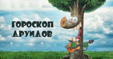 Дуб или Береза? Безумно правдивый гороскоп друидов, который раскроет перед тобой все карты.