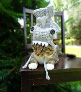 Эта девушка создает забавнейшие шапочки для хвостатых мурлык... Твой котик уже мечтает о такой!