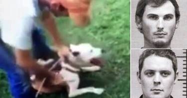 Эти двое выложили видео с пытками над животным в прямом эфире. Тюрьма по ним плачет!