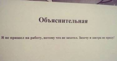 Это, пожалуй, 17 самых честных объяснительных, которые растопят сердце любого директора. Шедевры!
