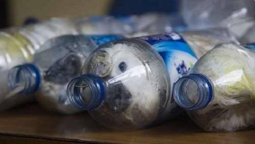 Они конфисковали несколько десятков пластиковых бутылок. То, что было внутри, лишило их дара речи...