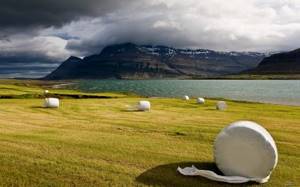 10 доказательств того, что Исландия — это маленький рай на Земле