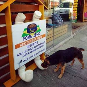Бездомные собаки лижут руки этому бразильскому парню за его потрясающее изобретение.