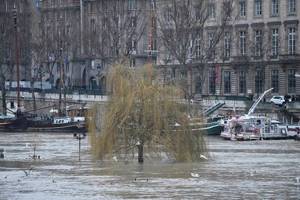 Париж превратился в Венецию. После долгих дождей Сена вышла из берегов и затопила столицу Франции.