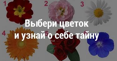 Тест на 1 минутку! Просто выбери цветок — и мы раскроем тайну твоей женственности.