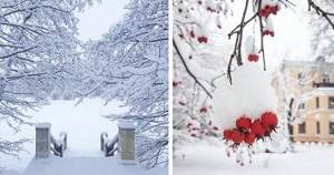 Впервые за всю зиму Москву засыпало снегом: 21 фото потрясающей красоты.